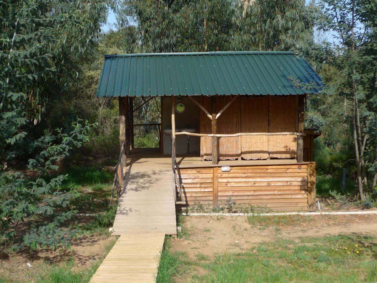 Вилла Quinta De Sao Jose Dos Montes Феррейра-ду-Зезери Экстерьер фото